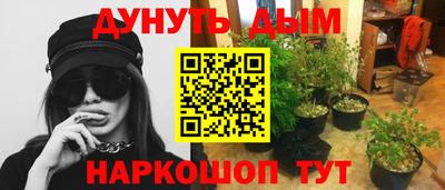 молекула духа Сланцы