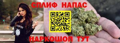 гашик Славгород