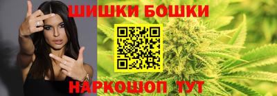гашик Славгород