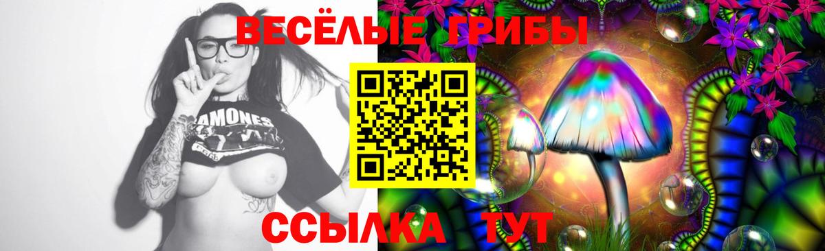 Галлюциногенные грибы мицелий  Псилоцибиновые грибы прущие грибы  Вход с VPN  Партизанск 